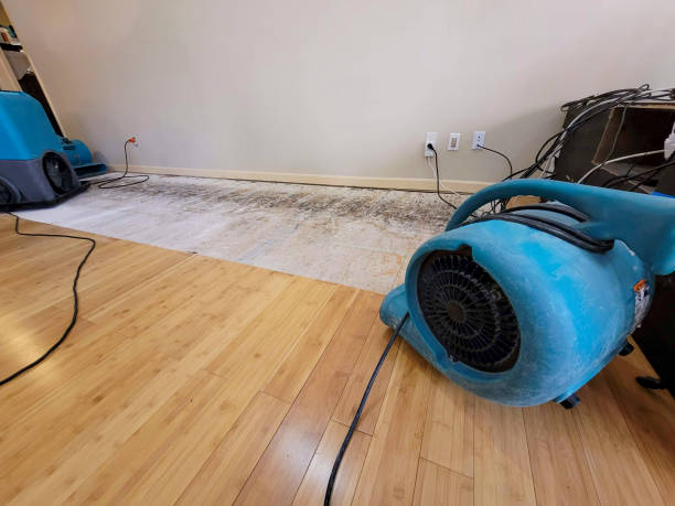Professional Water Damage Repair technician working in Moab, UT
